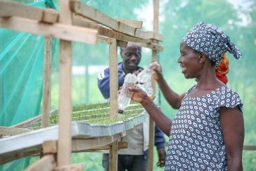 Cooperative introduced hydroponic fodder to increase livestock milk production